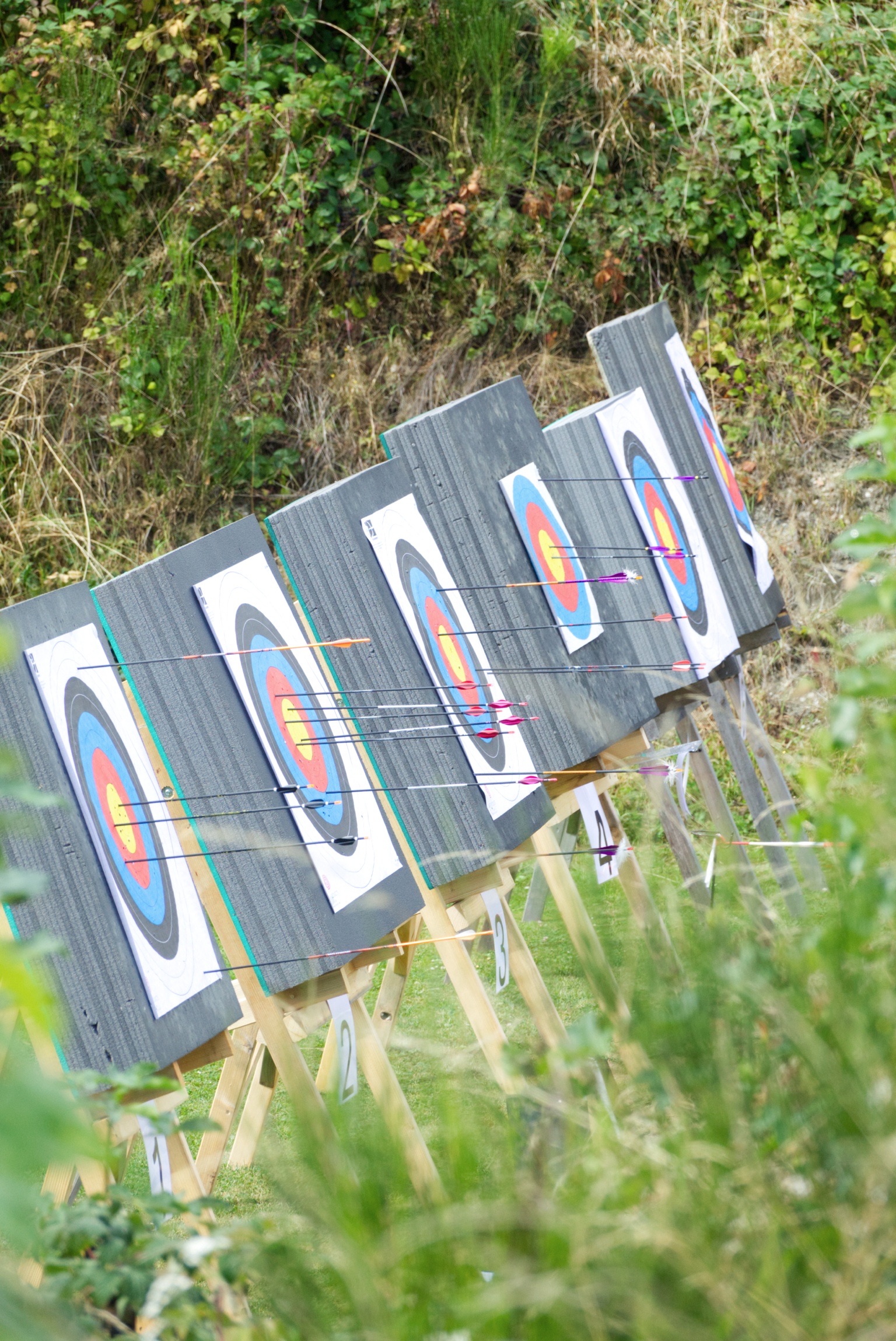 Bogenschießen Sonntag